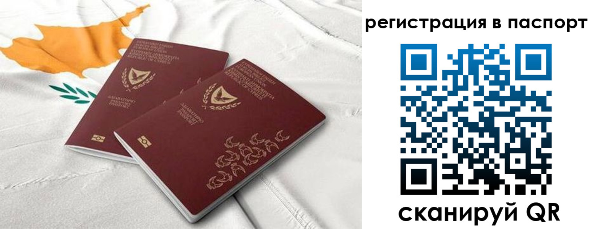 прописка штамп в Раменском